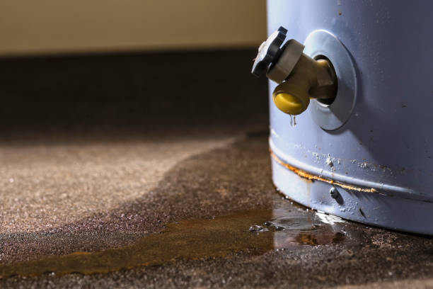 Best Water damage restoration mold remediation  in Tuscumbia, AL