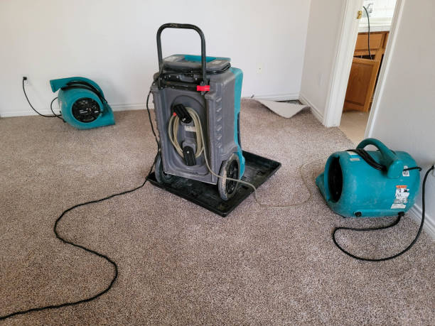 Best Ceiling water damage repair  in Tuscumbia, AL