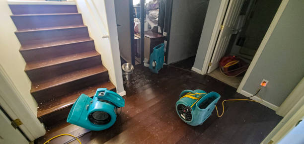 Best Fire Damage Restoration  in Tuscumbia, AL