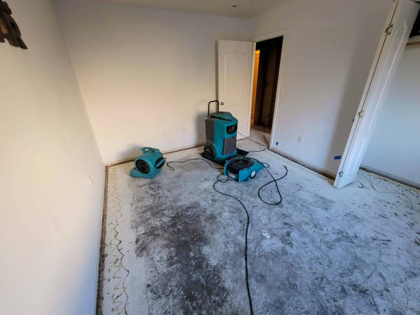 Best Basement water damage restoration  in Tuscumbia, AL