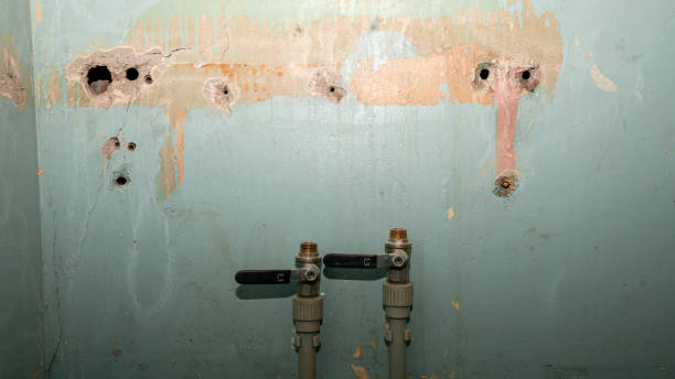 Water damage restoration mold remediation in Tuscumbia, AL