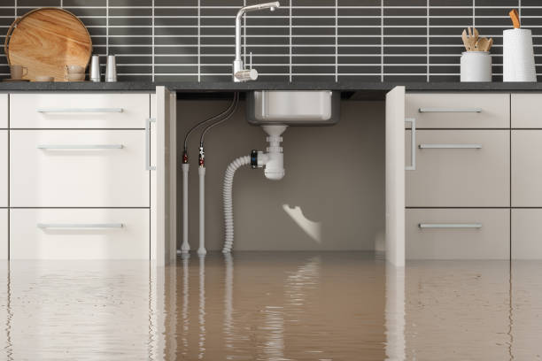 Best Water damage mitigation services  in Tuscumbia, AL