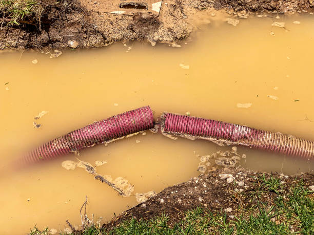 Best Residential water damage restoration  in Tuscumbia, AL