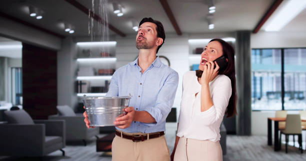 Best Mold removal after water damage  in Tuscumbia, AL